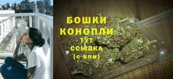 крисы Абдулино