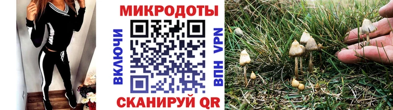Галлюциногенные грибы MAGIC MUSHROOMS  как найти наркотики  Вилючинск 